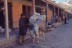 A donkey carries skeins of cotton to the marketplace, 1977