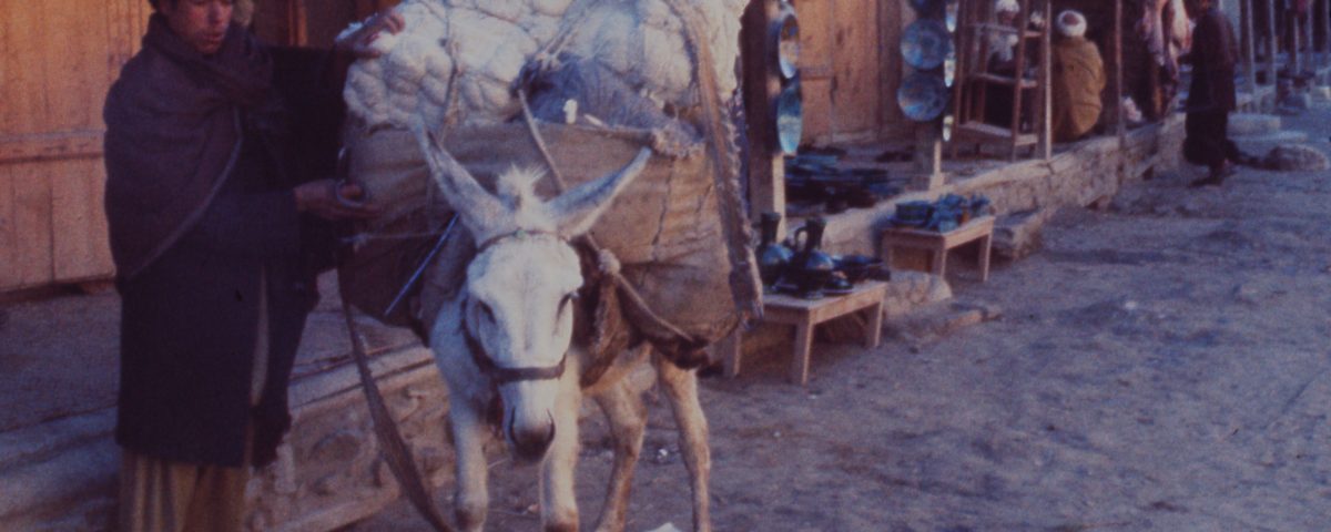 A vendor loads his donkey with wares to bring to market in Istalif, Afghanistan. Circa 1974
